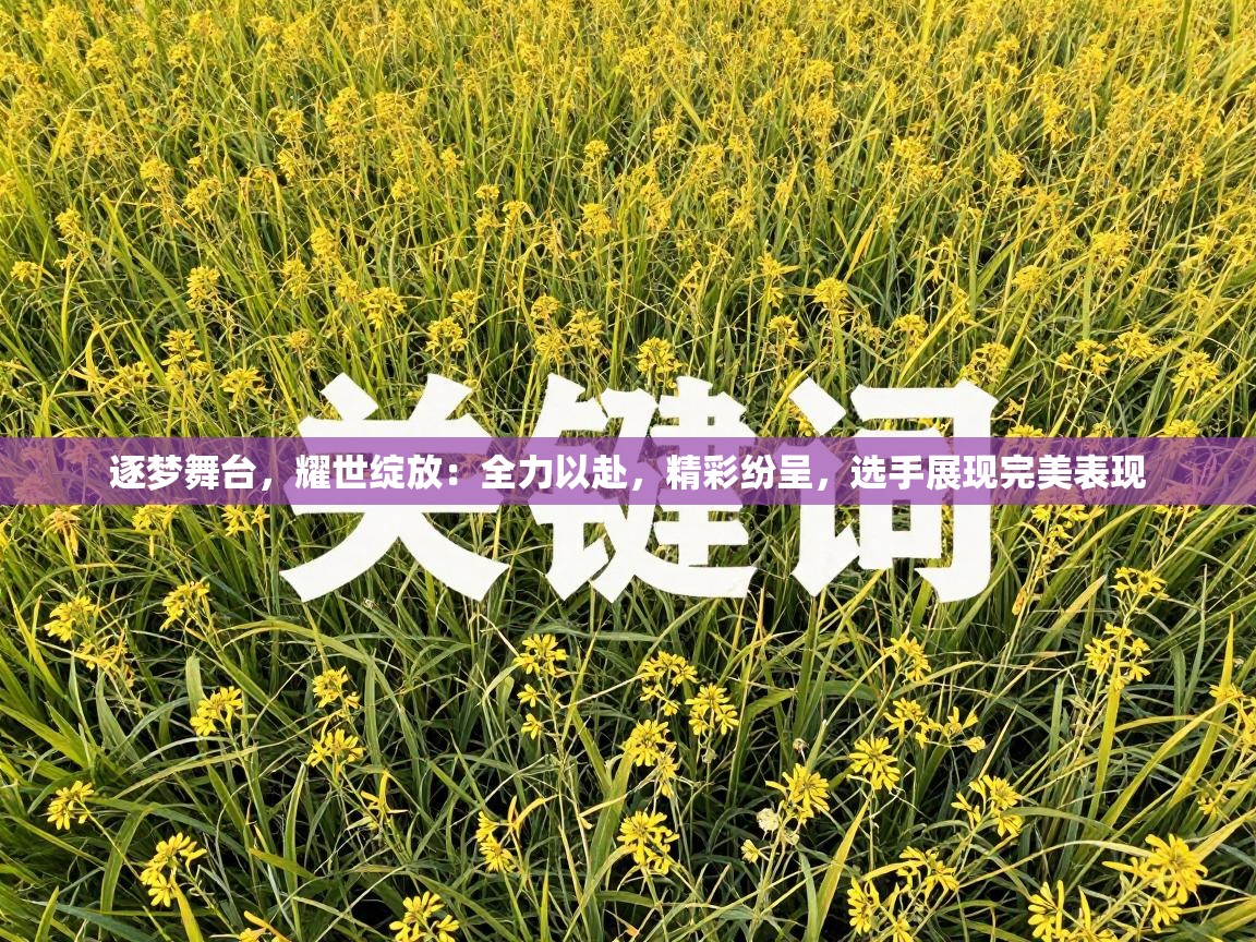 逐梦舞台,耀世绽放:全力以赴,精彩纷呈,选手展现完美表现 第2张