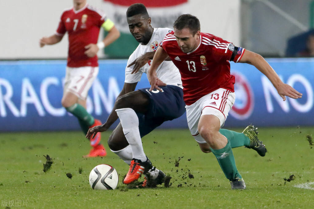 爱游戏平台-斯洛伐克淘汰挪威，下一轮对手未定的简单介绍