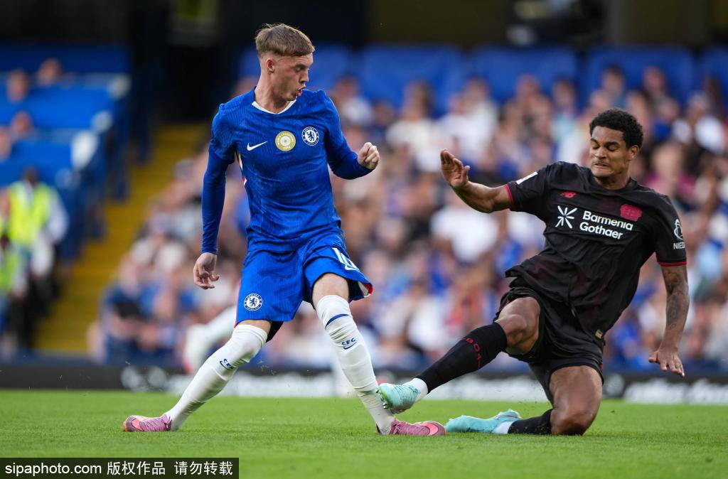 布莱顿坚守决胜时刻,球员士气高涨 布莱顿坚守决胜时刻,球员士气高涨